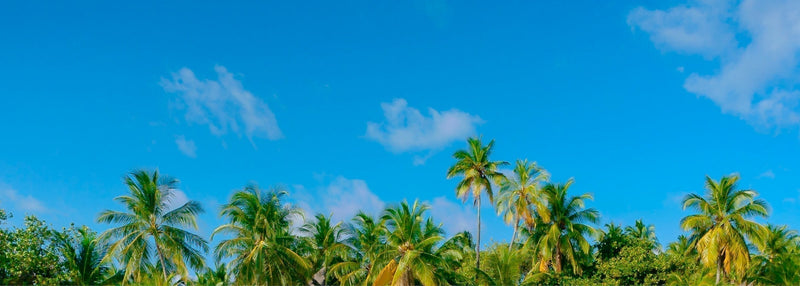 Pacific Islands